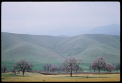 Along Hwy 58 from Tehachapi to Bakersfield