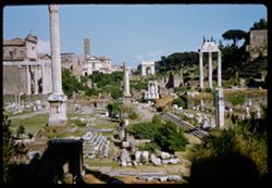 The Forum Rome