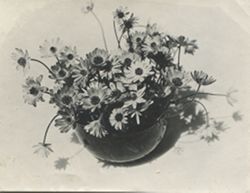 Flower artwork