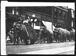 Elephant parade at Indianapolis, 1911 (?)