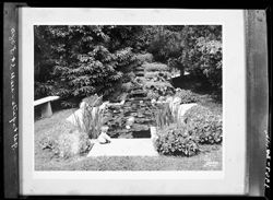Roesener lily pond by Jenkins