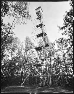 Pinhole of Lilly Hamblen Forest tower