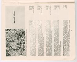 VAE4382-U-00098-034-master