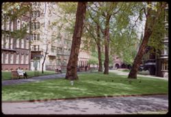 St. George's Hanover Square Gardens