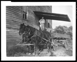 Hagerstown, two horses pulling wagon