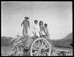 Children on cane mill truck