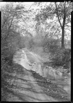 Road in creek on way to Sprunica