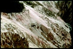 F-1= Grand Canyon of the Yellowstone. The left side from above and down stream C.W. Cushman