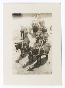 Item 0899. Taken from above. Carriage drawn by five mules, with Julio Saldivar and a young woman standing beside it, waving. See Item 217 above.