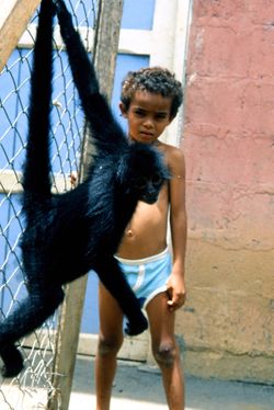 Boy with monkey in Yaviza