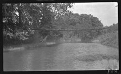 Swinging bridge across Salt Creek near Nashville