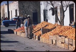 Oranges Juarez