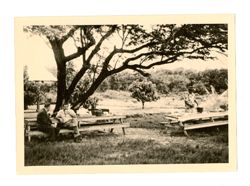 Landscape with picnic tables