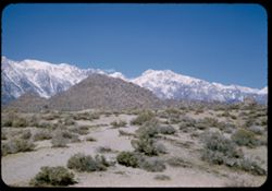 The very high Sierra Nevada to the north of Mount Whitney from the Mt. Whitney road out of Lone Pine.