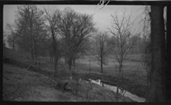 Deer, Riverside Park, April 12, 1911, 3:45 p.m., Feb. 18, 1913 footnote: L.V. Sheridan along, small fawns killed Apr. 4, 1913