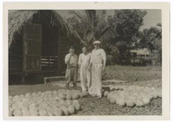 Item 0477. Eisenstein, center, and two unidentified men standing in front of thatch-roofed hut with drying coconuts on the ground around them. Palm trees and other foliage in background. Possibly taken in or near Tehuantepec.