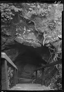 Entrance to I.U. Cave
