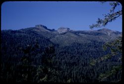 In the Sierra Nevada a few miles west of Dardanelles. Tuolumne county, Calif.  Looking across Stanislaus river canyon toward Dardanelles Cone.