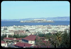 Alcatraz Island from Presidio