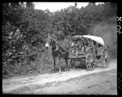 Mule pulling lattice-topped wagon, North Carolina