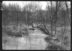Jack Defeat Creek, near Stinesville