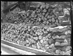Wood pile rear of studio