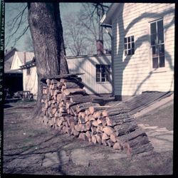 Woodpile with tree and buildings