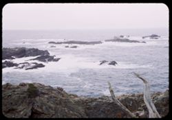Rocks and surf off Point Lobos, Calif.