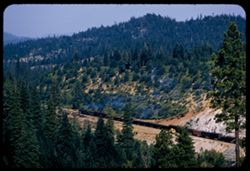 Westbound Western Pac. freight train in canyon of Feather river middle Fk. nr. Cromberg