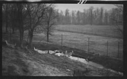 Feb. 18, 1913 footnote: L.V. Sheridan along, small fawns killed Apr. 4, 1913, Deer, Riverside Park, April 12, 1911, 3:45 p.m.
