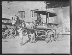 Pickup wagon and mule, French market, N.O.