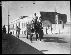 Team of mules coming over bridge at Puebla