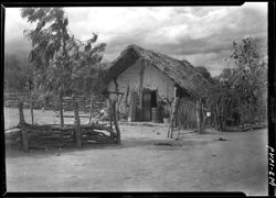 Thatched hut with boy at gate, out of Valles, north