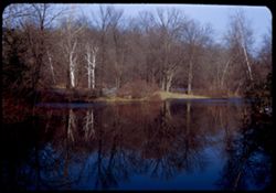 Lake Marmo reflections in winter, Arb. W.