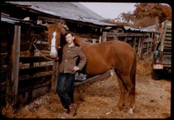 Harrison, Ark. 4 yr. old sorrel mare