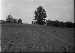 VAD5943-003079.tif