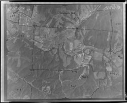 Aerial view of Nashville, etc. (orig. neg.)