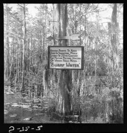 Sign in Okefenokee