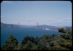 Golden Gate Bridge from Lincoln Park.