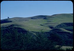 Green hills above Tunitas Creek near the Pacific San Mateo county