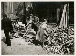 Men and women sawing wood in Passau, Germany