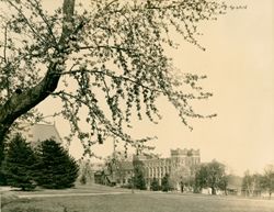 Princeton University - Guyot Hall