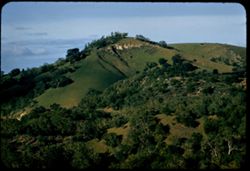 Green hill seen from Adelaida road west of Paso Robles