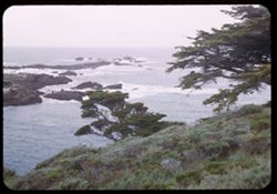 The Pacific from Point Lobos at noon on a cloudy day near Carmel, Calif.