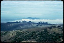 Fog bank from San Francisco Bay seen in view north from Skyline drive in San Mateo county ANSCO