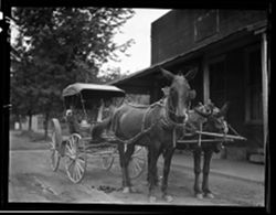 Mules and carriage in front of Dr. Turner's, waiting