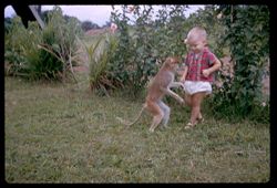 Warren & monkey dancing
