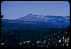 Sierra peak above Johnsville Plumas County