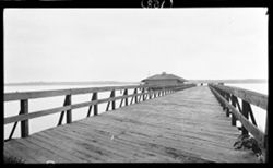 Ferry walk, Jamestown, Island, Aug. 30, 1910, 2:25 p.m.