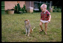 Warren & monkey